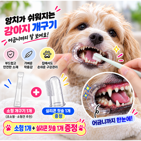 포우팝 편한양치 강아지 개구기 입벌리개 양치 보조기 구강관리