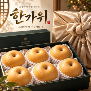 [프리미엄 특선] 고당도 나주배 고급 추석 배선물세트