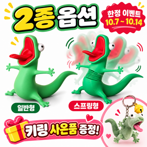 [한정 키링 증정] 3D 프린팅 도마뱀 톰 위글 스프링 피젯 토이 흔들흔들 데스크 장식 미니 자동차 인테리어 소품