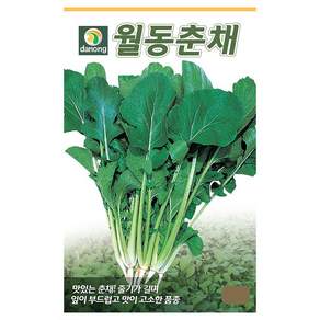 다농 월동춘채 씨앗 20g