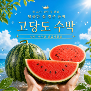 [작년판매1위] 어스담 달콤시원 고당도 수박