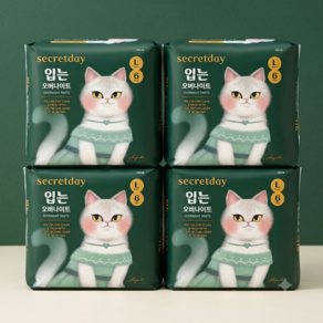 시크릿데이 입는 오버나이트
