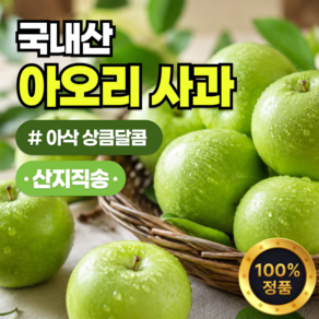 여름한정특가 저탄소인증 여름 아오리사과