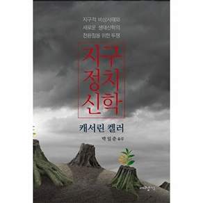 대장간 지구정치신학 - 지구적 비상사태와 새로운 생태신학의 전환점을 위한 투쟁