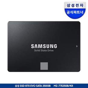 삼성전자 870 EVO SSD