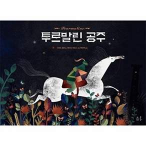도서출판풀씨 투르말린 공주 - 풀빛 그림아이 (양장)