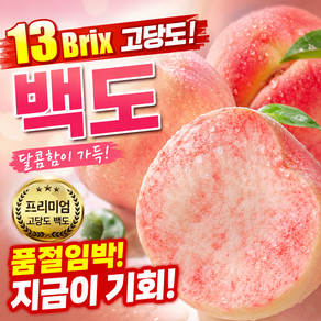 품절임박 한정수량 쫀득말랑이 백도