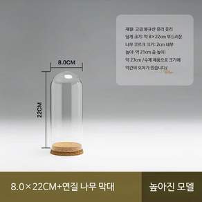 꽃다발 보관 드라이플라워 투명 케이스 인테리어 장식