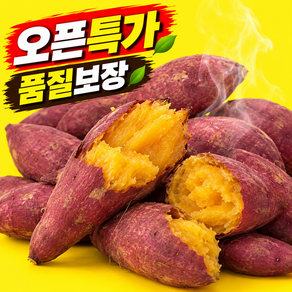 [오픈특가] 해남 비세척 꿀 호박 고구마 호풍미