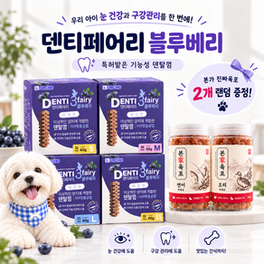 포켄스 덴티페어리 블루베리 디스펜서 강아지 덴탈껌 + 본가 진짜육포 2개
