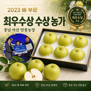 산지직송 그린시스배 초록배 아산배 로얄과 추석선물세트 과일선물세트 퓨어팜 산지 직송