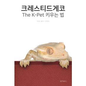 [아잔틱하우스]크레스티드게코 The K-Pet 키우는 법