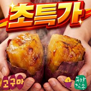 [초특가]농장직송 담백달콤한 국내산 해남 꿀 고구마