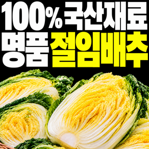 국내산 절임배추 1위 절인 김장 배추 국산(해남 강원도) 구매