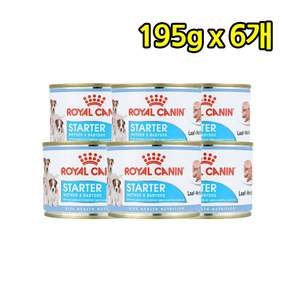 로얄캐닌 강아지 습식사료 캔 195g 스타터무스마더앤베이비독