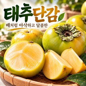 [중대과 선별] 2026 햇 태추단감 아삭한 제철 단감