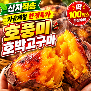 [딱100박스] 산지직송 황금속살 호풍미 호박고구마