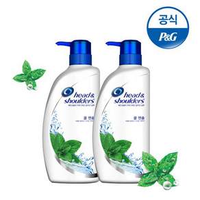 [P&G] 헤드앤숄더 850mlx2개