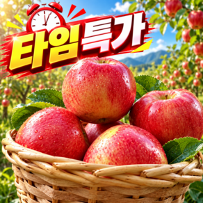 [오늘특가] 50박스한정 고당도 햇 홍로 사과