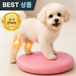 플러클 강아지짐볼 밸런스볼 도넛 슬개골탈구예방