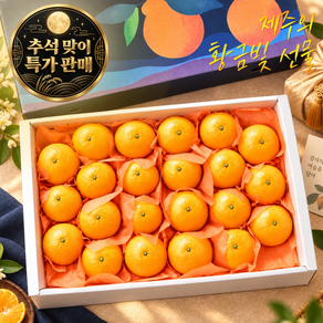 [추석특가 100박스 한정]농장직송 프리미엄 제주 황금향 선물세트