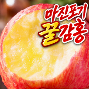 [민생안정특가] 벌꿀맛 감홍사과 당도선별 꿀사과