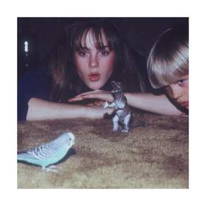 (수입 LP) Big Thief Masterpiece [New Vinyl LP]