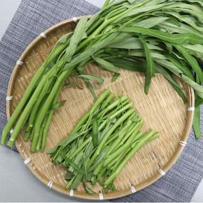 국내산 친환경 공심채 500g 1kg 무농약 모닝글로리 산지직송