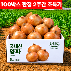 [산지직송] 강원도 고랭지 양파 단단한 햇양파