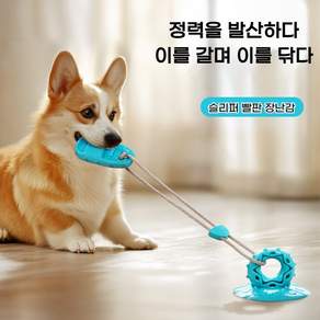 흡착식 강아지 터그놀이 이갈이 장난감 밧줄놀이 분리불안 해소