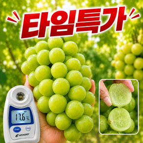 [타임특가] 김천 고당도 샤인머스켓 망고포도