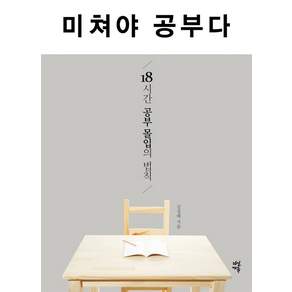 미쳐야 공부다 : 18시간 공부 몰입의 법칙