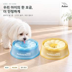Auber 반자동 필터형 급수기 500ML 대용량 물그릇