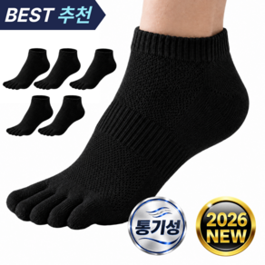 남성용 발가락 양말 단목 5켤레 세트 가을 겨울 사계절용 250-280