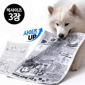 사니사니 강아지 신문지 장난감 소리나는 신문