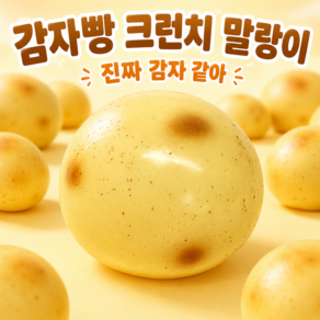 Wakku 수제 크런치 말랑이 슬랑이 바삭바삭 디저트