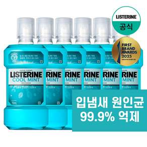 리스테린 쿨민트 마우스 워시 구강청결제