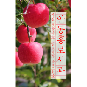 론크 경북안동 프리미엄 홍로사과 5kg 고당도 16brix 이상 보자기 선물세트