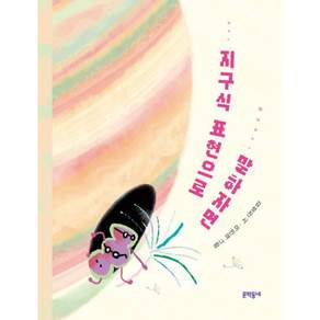 지구식 표현으로 말하자면