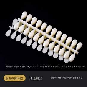 네일차트 아트판 칼라 원형 컬러차트 물결