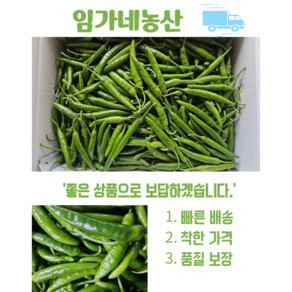 [임가네농산] 청양고추(특품) 매운고추 땡초