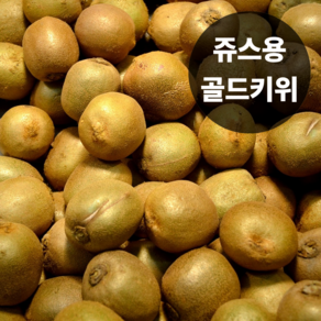 [초특가할인] 국내산 키위 골드키위 쥬스용 못난이