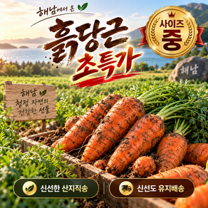 송이네 국내산 당근 제주 햇 중