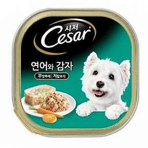 시저 1세 이상 강아지 주식캔
