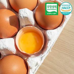 HACCP인증 무항생제 농장직송 달걀 생계란 대란 20구 1판