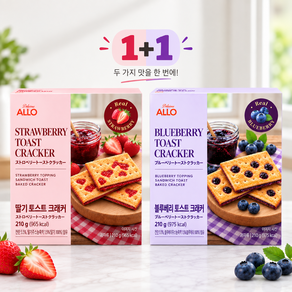 알로 블루베리 토스트 크래커 210g+딸기 토스트 크래커 210g