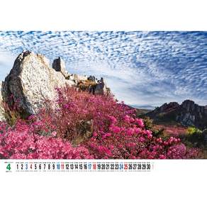 2027년 신형으로 발송합니다 대한민국 민족 산하 명경치 대형 벽걸이 달력 특대형 카렌다