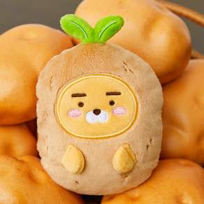 카카오프렌즈 라이언 행운만땅 키링 인형 열쇠고리