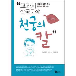 천궁의 칼 (교과서 한국문학 김주영 9)