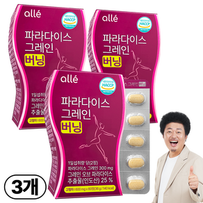 파라다이스 그레인 버닝 컷 정품 인증 알레